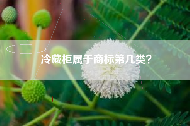 冷藏柜属于商标第几类？