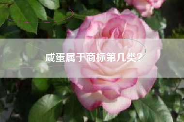 咸蛋属于商标第几类？