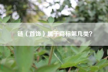 链（首饰）属于商标第几类？