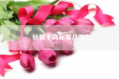 针属于商标第几类？