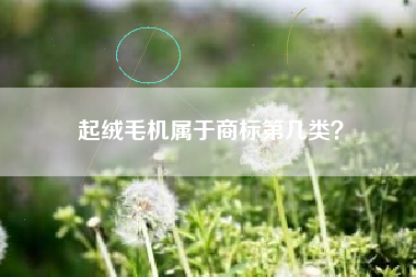 起绒毛机属于商标第几类？