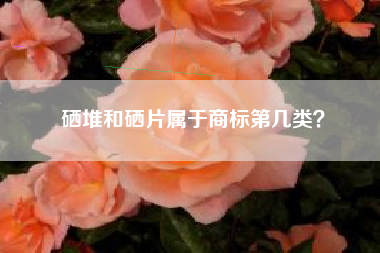 硒堆和硒片属于商标第几类？