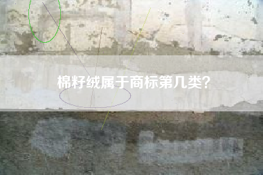 棉籽绒属于商标第几类？