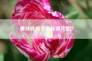 弹球机属于商标第几类？