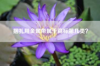 捆扎用金属带属于商标第几类？