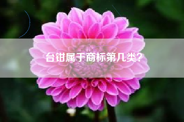 台钳属于商标第几类？