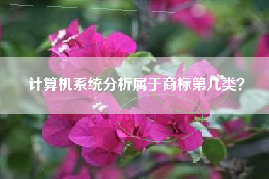 计算机系统分析属于商标第几类？