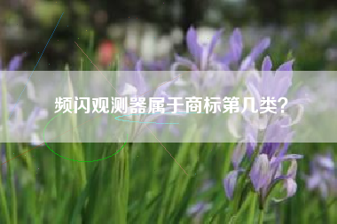 频闪观测器属于商标第几类？