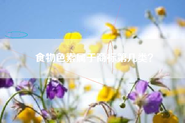 食物色素属于商标第几类？