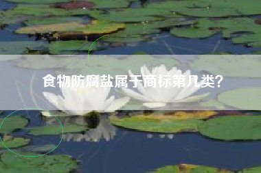 食物防腐盐属于商标第几类？