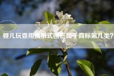 婴儿玩耍用携带式围栏属于商标第几类？