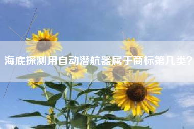 海底探测用自动潜航器属于商标第几类？