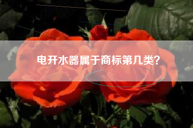 电开水器属于商标第几类？