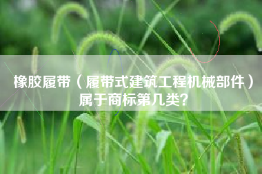 橡胶履带（履带式建筑工程机械部件）属于商标第几类？