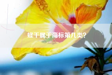 蛏干属于商标第几类？