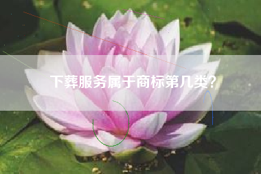 下葬服务属于商标第几类？