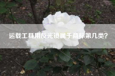 运载工具用反光镜属于商标第几类？