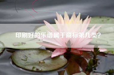 印刷好的乐谱属于商标第几类？