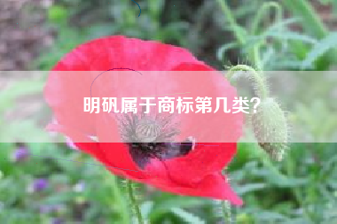 明矾属于商标第几类？