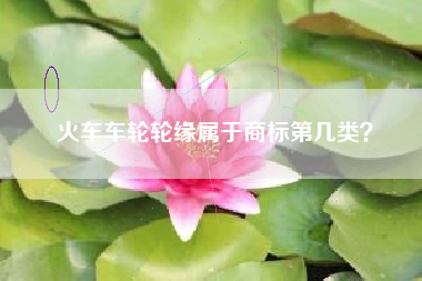 火车车轮轮缘属于商标第几类？
