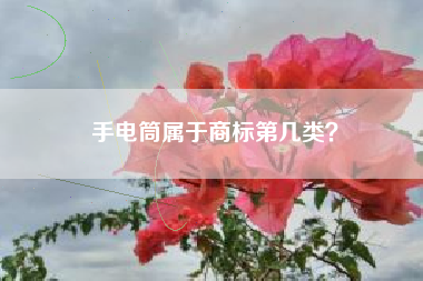 手电筒属于商标第几类？