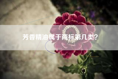 芳香精油属于商标第几类？