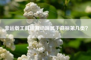 非运载工具用制动蹄属于商标第几类？