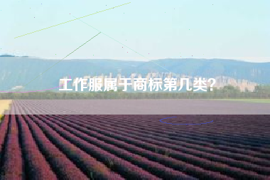 工作服属于商标第几类？