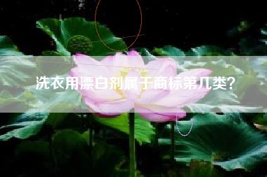 洗衣用漂白剂属于商标第几类？
