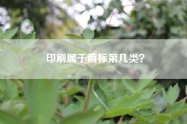 印刷属于商标第几类？