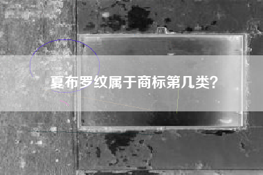 夏布罗纹属于商标第几类？