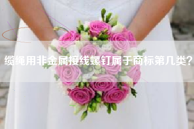 缆绳用非金属接线螺钉属于商标第几类？