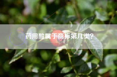 药用酸属于商标第几类？