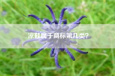 凉鞋属于商标第几类？