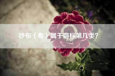 纱布（布）属于商标第几类？