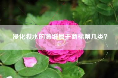 浸化妆水的薄纸属于商标第几类？