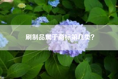 刷制品属于商标第几类？