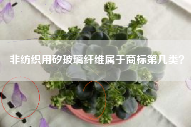 非纺织用矽玻璃纤维属于商标第几类？