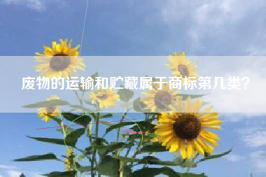 废物的运输和贮藏属于商标第几类？