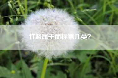 竹篮属于商标第几类？