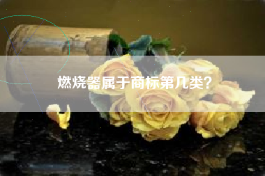 燃烧器属于商标第几类？
