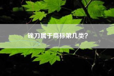 锉刀属于商标第几类？