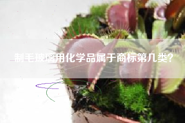 制毛玻璃用化学品属于商标第几类？