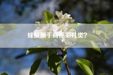 蜂胶属于商标第几类？