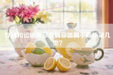 存储和运输用非金属容器属于商标第几类？