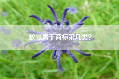 蚊帐属于商标第几类？