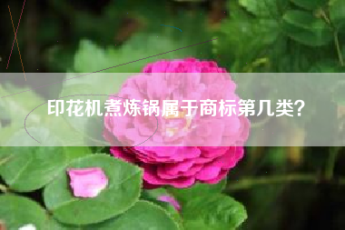 印花机煮炼锅属于商标第几类？