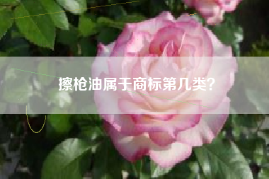 擦枪油属于商标第几类？