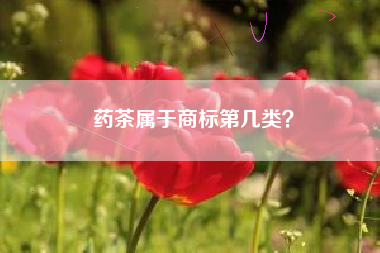 药茶属于商标第几类？