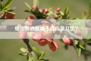 细颈圆酒瓶属于商标第几类？